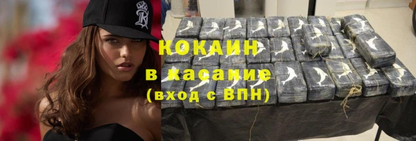 прущие крисы Абаза