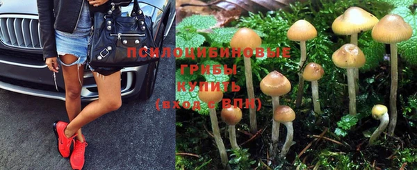 тгк Алзамай