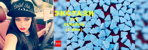 индика Абинск