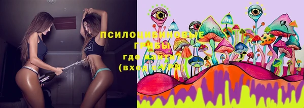 прущие крисы Абаза