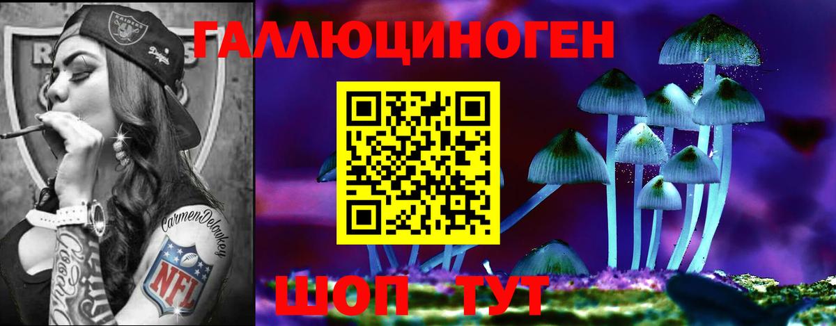 дарнет шоп  Псилоцибиновые грибы Psilocybe  Вход с VPN  Лосино-Петровский 