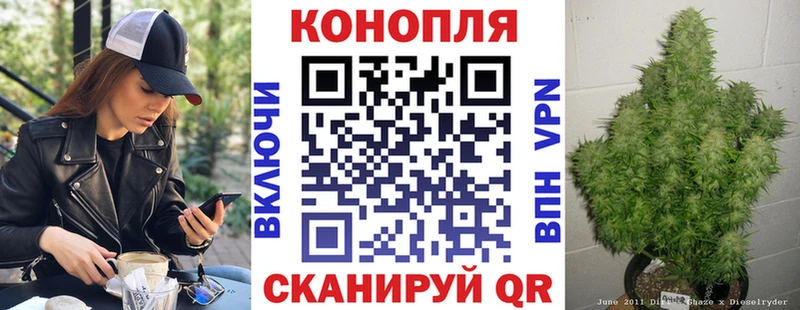продажа наркотиков Лосино-Петровский Конопля конопля
